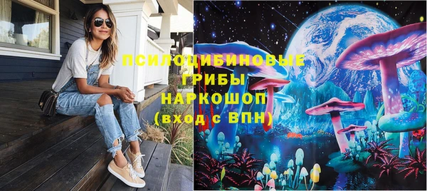 сатива Алексеевка