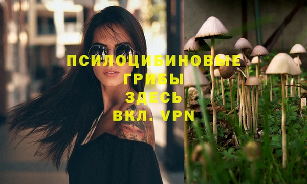 амф Алзамай